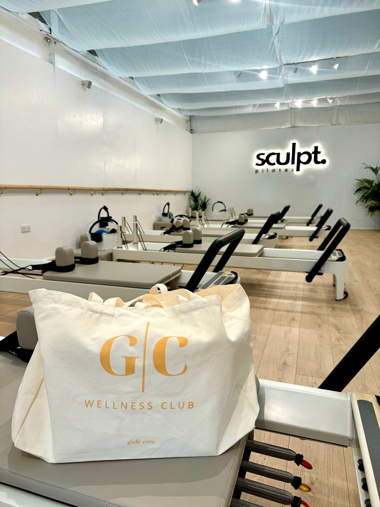 Wellness Club Tote